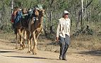 34-This is one way to travel the Gibb River Road